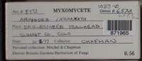 Image Associated With the Occurence
